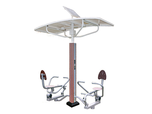 ZN005 Intelligent Dual Position Rowing Machine