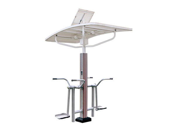 ZN009 Intelligent Dual Position Pendulum Device