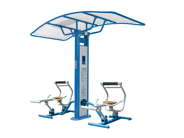 ZN027 Intelligent Dual Column Dual Position Back Trainer