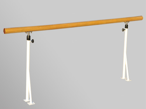 J010 Mobile Dance Pole