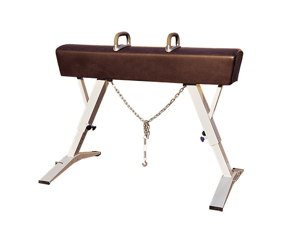 J013 Competitive Pommelled Horse